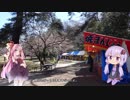 彩の国探訪録 第３回「桜の色を求めて」【結月ゆかり車載】
