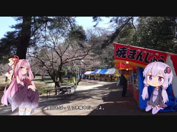 彩の国探訪録 第３回「桜の色を求めて」【結月ゆかり車載】