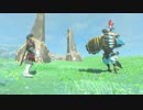 厄災かけますね.botw48