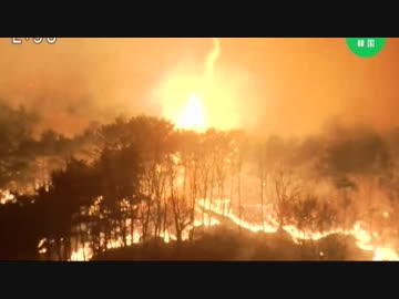韓国で一晩中延焼し続けた山火事の報道を途中から演技派通訳で！