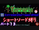 [Terraria+MOD]　ショートソード縛りEX パート１３　[ゆっくり実況]