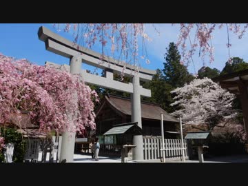 【ゆっくり】徒歩で日本一周part576【磐田→掛川】