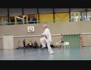 武道 ゴールデンブリッジ Golden Bridge Lelystad 2019 武道 Martial Arts Tai Chi master Douwe Geluk