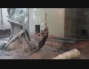 まわるー