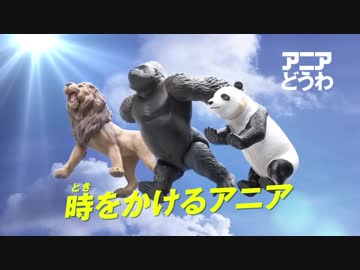 ホモと見るアニアフレンズ～キングゴリラの過去編～