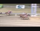 2019年4月2日川崎競馬11R スパーキングナイトチャレンジ(JRA1000万下・A2B1) アポロユッキー
