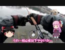 琴葉姉妹と行く釣行記録（釣り堀編part4）