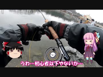 琴葉姉妹と行く釣行記録（釣り堀編part4）