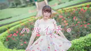 【ヒビ】ハルイチ。 踊ってみた【初投稿】