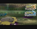 【ポケモンUSM】最強トレーナーへの道Act446【カバルドン】