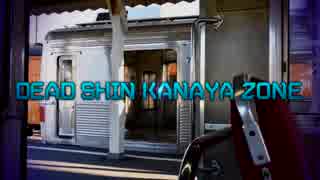 DEAD SHIN KANAYA ZONE