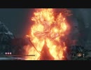 SEKIRO（隻狼）普通にプレイ28 　城下外郭 虎口階段～怨嗟の鬼戦