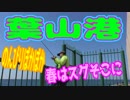 釣り動画ロマンを求めて 242釣目（葉山港）