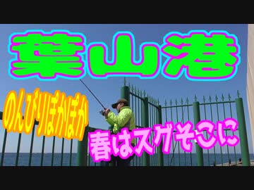 釣り動画ロマンを求めて 242釣目（葉山港）
