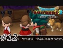 目は心を映す【ドラクエビルダーズ2】#12