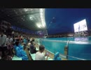 【ノーカット版】名古屋港水族館イルカのナイトショー