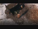 高難易度ゲーム隻狼を52のおっさんがやってみました。（FHD）#06