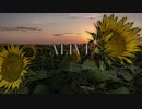 ［弾き語り］ALIVE［Mr.Children］