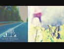 AS THE UNIVERSE ｜春と蝶々と赤い糸＜PVスケッチ映像＞