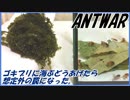 ゴキブリに海ぶどうあげたら自然の罠ができてしまった・・・。