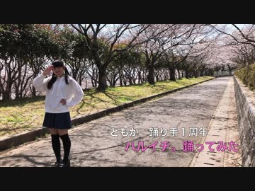 【ともか】ハルイチ。　踊ってみた【１周年】【誕生日】