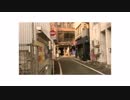 ヒト／初音ミク