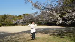 【亜美っぽいど】スイートマジック踊ってみた【今年も桜】