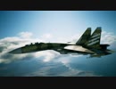 【ACECOMBAT7】リプレイ動画　Mission05　444『懲罰部隊』