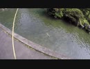【マス釣り堀り】竿４本で1000円！マスが釣り放題の穴場に行った結果！