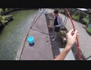 【マス釣り堀】現地の200円の高級釣り竿では確実に釣れます！