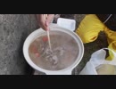 お外で豚汁を作って幸せになりたい