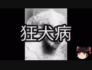 【ゆっくり朗読】ゆっくりさんと不思議な病気 その45