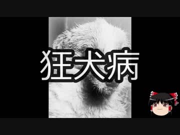 【ゆっくり朗読】ゆっくりさんと不思議な病気 その45