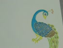 flower bird  p1