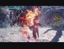 DMC5 DMD M19　ノーダメ