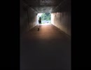 no.113/週末の探検隊