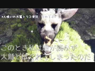 【君と紡ぐ神話】人喰いの大鷲トリコ実況してみました【その１３】
