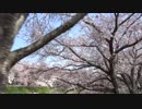 【結月ゆかり・KAITO】募集しますって【トークロイド】