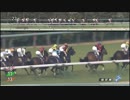 第79回 桜花賞GⅠ　関東から、また凄い馬が現れました