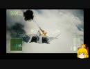 【エスコン7難易度ACE】機銃縛りでもやりゃぁできる Part3