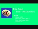 Wind Song(T-SQUARE)を吹いてみた