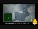 【エスコン7難易度ACE】機銃縛りでもやりゃぁできる Part7