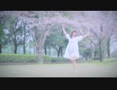【しーちゃん】ハイドアンド・シーク　踊ってみた【始まりの場所】