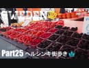 【ゆっくり】北欧スウェーデン一人旅　Part25　ヘルシンキ街歩き