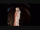 [おまけ]ベーコンムシャムシャ先輩焼いてみた