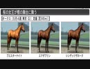 【ウイニングポスト８】トウカイテイオーの仔でＧⅠ勝利を目指す part117