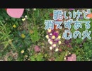 失って知る本当の大切な物の価値　字幕付き　(初音ミク)　オリジナル