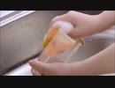 ジョイ君と化した久遠千歳