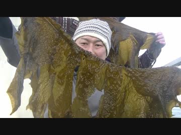 外来種を食べに行こう！【#11外来種番外ワカメ採取】