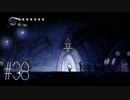 【第３８夜】眠れぬ夜のHOLLOW KNIGHT【実況】